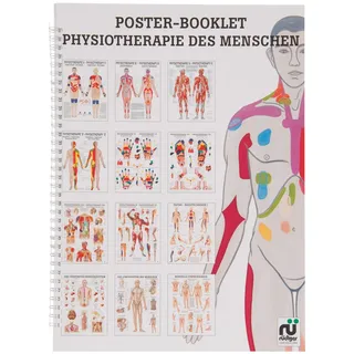 Sport-Tec Physiotherapie des Menschen Mini-Poster Booklet Anatomie 34x24 cm, 12 Poster