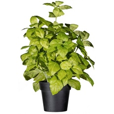 Bild Kunstpflanze »Basilikumbusch«, grün