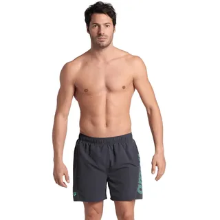 Arena Herren Fundamentals Logo R Boxer Beach Shorts