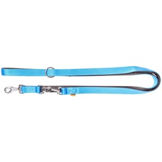 Dingo Hundeleine Verlängerte Extra Energy Breite 2,5 cm Länge 220 cm aus Band Blau 14674