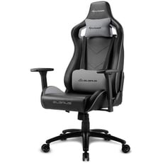 Bild Elbrus 2 Gaming Chair schwarz/grau