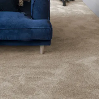 Teppichboden ANDIAMO "Levin, Velours, Made in Belgium", braun (schlamm), B:500cm H:10mm L:350cm, Kunstfaser, Teppiche, Teppichboden, Uni Farben, Breite 400 cm oder 500 cm, weiche Qualität