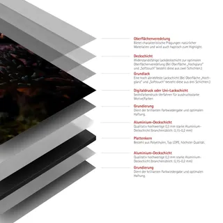 Schulte Duschrückwand DecoDesign Motiv Schildkröte 210 cm x 90 cm