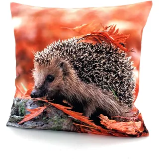 WECKBRODT Dekokissen Igel 40 x 40 cm Mehrfarbig