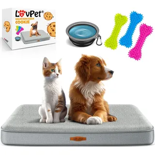 LovPet® Hundebett orthopädisches Hundekissen Hundekorb Cookie, Inkl. Napf + 3X Kauknochen, Hundesofa für Kleine, Mittelgroße & Große Hunde, Bezug abnehmbar und waschbar - Grau