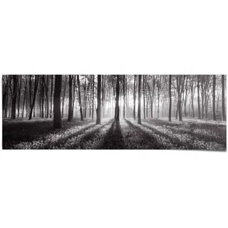 Reinders! Reinders "Sonnenaufgang im Wald Schwarz-Weiß", 1 Stk. tlg., farbe bild(er): schwarz