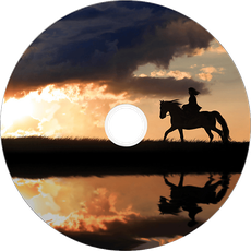Bild von DVD+R DL 8,5GB 8x bedruckbar 25er Spindel