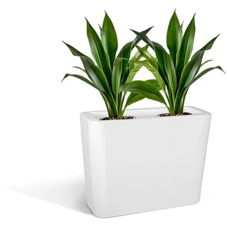 Kloris Hocher, rechteckiger moderner Blumentopf für Hecke und Zaun Modell Blog Polyethylen 70 x 30 cm Höhe 70 cm