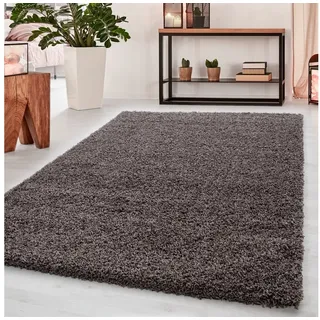 Ayyildiz Dream Shaggyteppich 80 x 150 cm braun