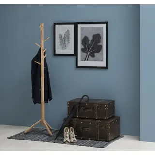 Actona Garderobenständer Bremen Gummibaum Beige