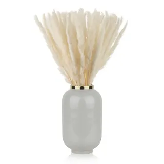 Blumtal 100 Stück Pampasgras getrocknet - Trockenblumen Pampas Grass, Weiß