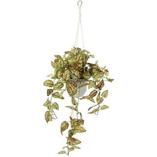 Künstliche Philo-Hängeampel mit Topf Kunstpflanze Ranke Girlande Grünpflanze Deko Pflanzenampel Grünpflanze Zimmerpflanze Kletterpflanze Efeuranke Efeu Blumenampel Topfpflanze Kunstblume, Fittonia