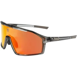 Endura Gabbro II Brille grau