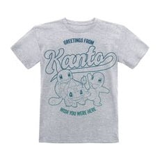 Pokémon Kids - Greetings From Kanto T-Shirt grau meliert, Meliert, 140