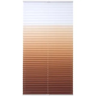 Liedeco Plissee »Farbverlauf« Lichtschutz ohne Bohren verspannt, braun