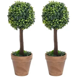 Pflanzenset mit Topf - Set aus 2 - 33 cm - Grün - Grün
