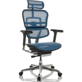 HJH Office ERGOHUMAN GEN2 Netz Blau