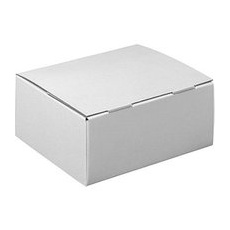 20 Nestler Versandkartons Pack-Set S 25,0 x 17,5 x 10,0 cm