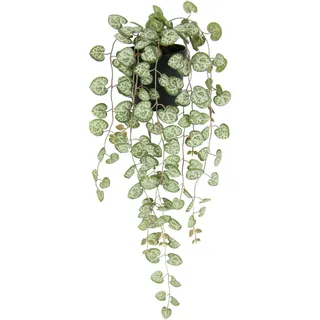 I.GE.A. Kunstpflanze Leuchterblume Hängende Pflanzen künstlich« Hänger Busch Ranke Girlande Blumenampel Deko Grünpflanze Kunstblumen