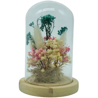 HEITMANN DECO Trockenblumen in Glasglocke, Natur/rosa/grün, 11,5x11,5x17 cm