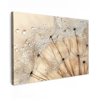 MuchoWow Leinwandbild Löwenzahn - Abstrakt - Natur - Beige Wanddeko 90x60 cm , Textil , Rechteckig , 90x60 cm , FSC 100% , gerahmt , Bilder & Rahmen, Bilder, Leinwandbilder