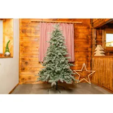 Bild von Weihnachtsbaum Fichte Frost 180 cm