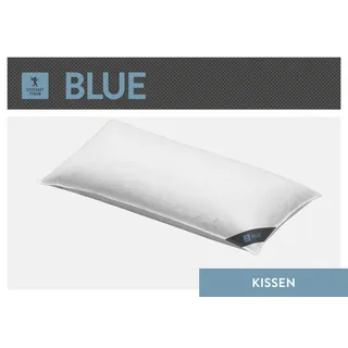 SPESSARTTRAUM 3-Kammer-Kopfkissen 80 x 80 cm Blau