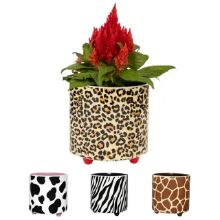 Fisura Blumentopf mit Leopardenmuster 13 x 12,5 cm Mehrfarbig