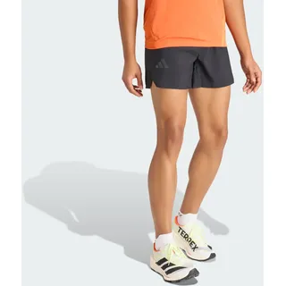 adidas Terrex Xperior Clima365 Sport-Shorts Schwarz/Grau M