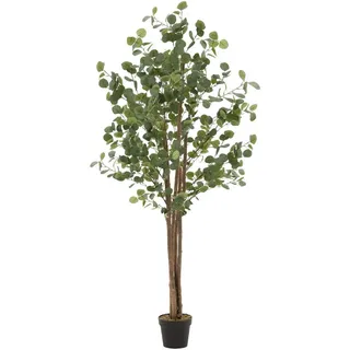ML-Design Künstliche Eukalyptus 180cm groß, Kunstpflanze Naturholzstamm,
