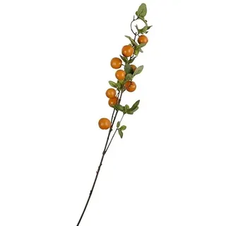 Comarco Sa Zweig mit Orange 83 cm
