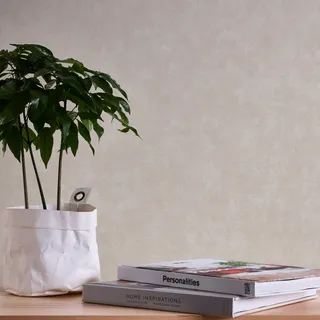 A.S. Création Vliestapete mit einfarbiger Struktur - helle Uni-Tapete in Beige, Creme 10,05 m x 0,53 m - 389231