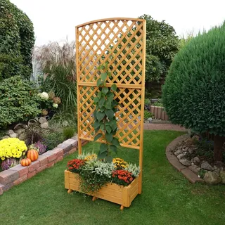 Promadino Rankkasten Flora 91 x 41 x 205 cm Braun