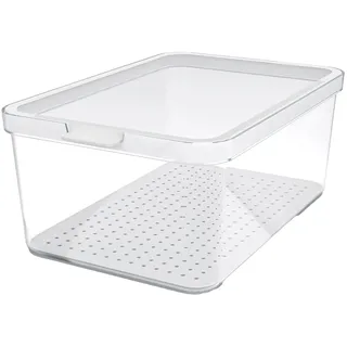 Rotho Frischhaltedose transparent 28,2 x 18,4 x 11,3 cm 4,65 l