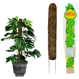 Mosser Lee Sphagnum-Moosstange für Zimmerpflanzen, Monstera-Moosstange, 30,5 cm Höhe, Lackierter Stahlrahmen, Natürlich und erneuerbar, Grün