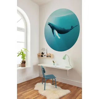 KOMAR DOT Whale Watching - Ø Durchmesser 125 cm - Wal, 125x125 Tapeten - Wandverkleidungen, Fototapeten