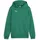 Puma teamGOAL Hoodie Jungen 05 sport green/white 164