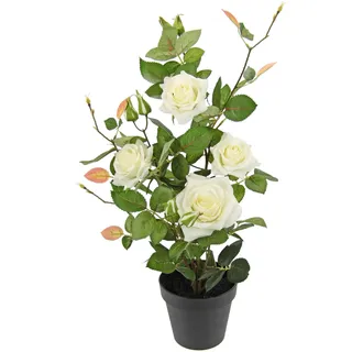 I.GE.A. Kunstbaum "Rosenbusch im Topf" Kunstrosen Kunstpflanzen Rosenstrauch Deko Hochzeit, weiß