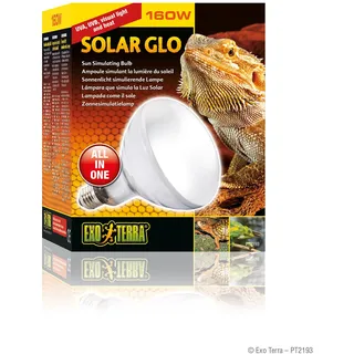 Exo Terra Solar Glo