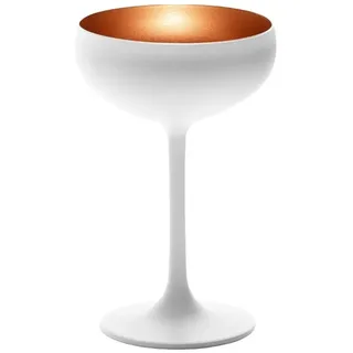 Stölzle Sektschalen Sektglas 0,23 l 6-tlg.