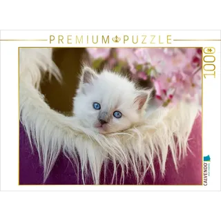 CALVENDO Puzzle Ein Motiv aus dem Kalender Samtpfoten Momente mit Shabby Chic & Vintage Flair 1000 Teile Puzzle quer | 1000 Teile Lege-Größe 64x48cm Foto-Puzzle für glückliche Stunden