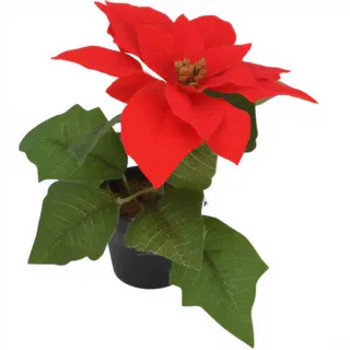 Home Styling Collection Weihnachtsstern Künstliche Blume 19 cm , Multicolor , Kunststoff , Oval , 19 cm , Dekoration, Blumen & Blumentöpfe, Kunstblumen