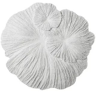 DRW Wanddeko Korallenharz in Weiß 8x59x58cm