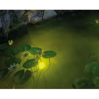 Paulmann LED Teichleuchte Aluminium 19,5 cm inkl. 2m Kabel schwarz