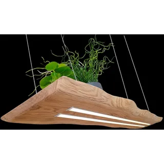 FRIESENLICHT ARIA Hängelampe mit Baumkante Pendelleuchte aus Holz Holzlampe Eiche Massiv 120cm Hängeleuchte Unikat Hängelampe (120cm/ 2 LED-Leisten unten, 1 LED-Leiste oben)