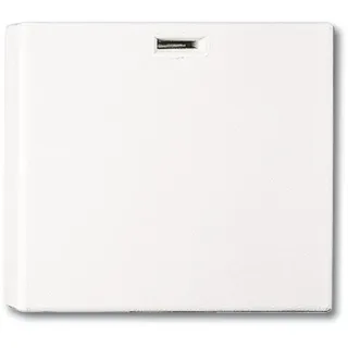 Busch-Jaeger 3746 U-101 Electronic, bunt