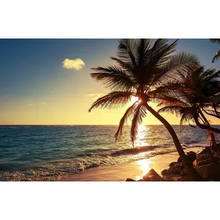 Papermoon Fototapete »PALMEN-STRAND SONNENUNTERGANG NATUR MEER LANDSCHAFT XXL«, bunt