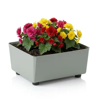 Quadratischer Pflanzkasten mit eleganten Füßen – Grüner Blumenkübel aus robustem Kunststoff 28,5 x 28,5 cm, 7,5L – Wetterfest & Pflegeleicht - für Innen & Außen, Graugrün