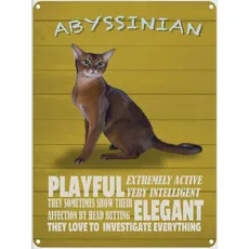 Blechschild 30x40 cm - Abyssinian Katze playful elegant