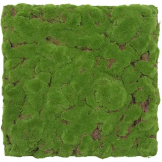 JANGAL Akustikpaneel Jangal Hellgrün 2 St. 52 x 52 x 2,6 cm